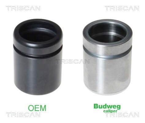 TRISCAN 8170 234039 Kolben, Bremssattel