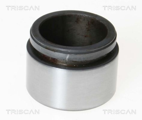 TRISCAN 8170 234226 Kolben, Bremssattel