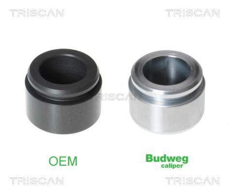 TRISCAN 8170 234228 Kolben, Bremssattel