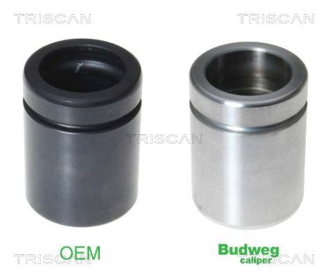 TRISCAN 8170 234233 Kolben, Bremssattel