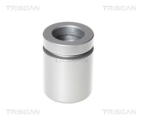 TRISCAN 8170 234234 Kolben, Bremssattel