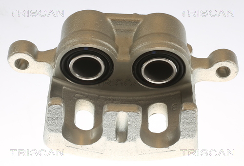 TRISCAN 8175 10102 Bremssattel