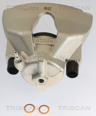 TRISCAN 8175 10103 Bremssattel
