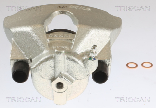 TRISCAN 8175 10104 Bremssattel