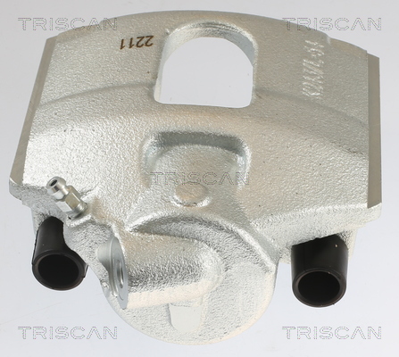 TRISCAN 8175 10105 Bremssattel