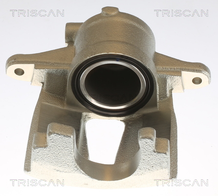 TRISCAN 8175 10109 Bremssattel