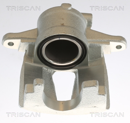 TRISCAN 8175 10110 Bremssattel