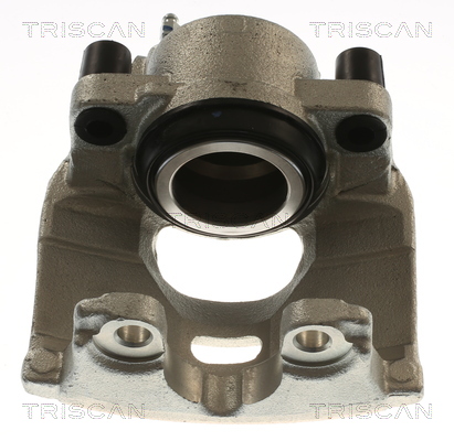 TRISCAN 8175 10111 Bremssattel
