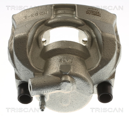 TRISCAN 8175 10111 Bremssattel