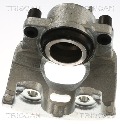 TRISCAN 8175 10112 Bremssattel