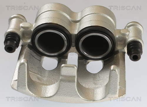 TRISCAN 8175 10113 Bremssattel