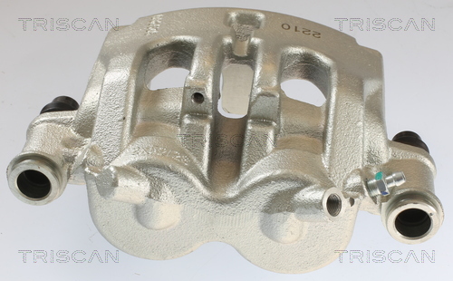 TRISCAN 8175 10113 Bremssattel