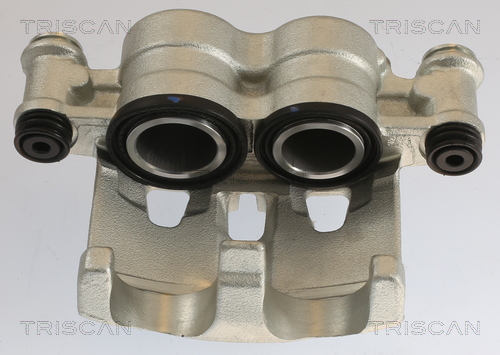 TRISCAN 8175 10118 Bremssattel