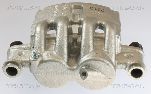 TRISCAN 8175 10119 Bremssattel