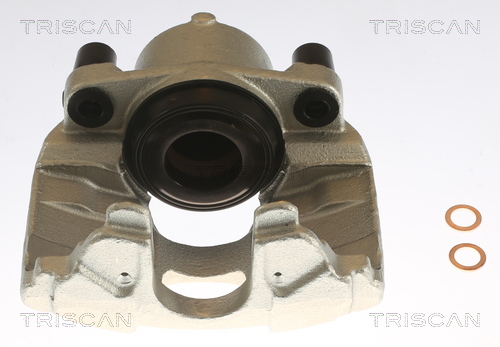 TRISCAN 8175 10121 Bremssattel