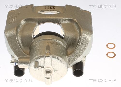 TRISCAN 8175 10121 Bremssattel