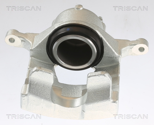 TRISCAN 8175 10124 Bremssattel