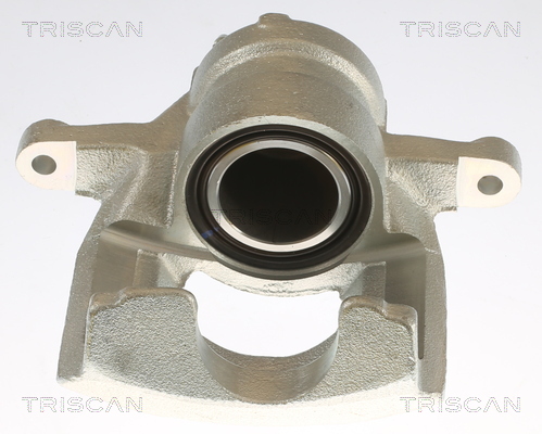 TRISCAN 8175 10125 Bremssattel