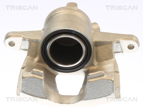 TRISCAN 8175 10130 Bremssattel