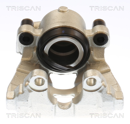 TRISCAN 8175 10131 Bremssattel