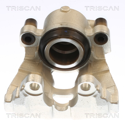 TRISCAN 8175 10132 Bremssattel