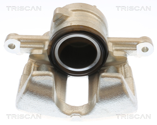TRISCAN 8175 10133 Bremssattel
