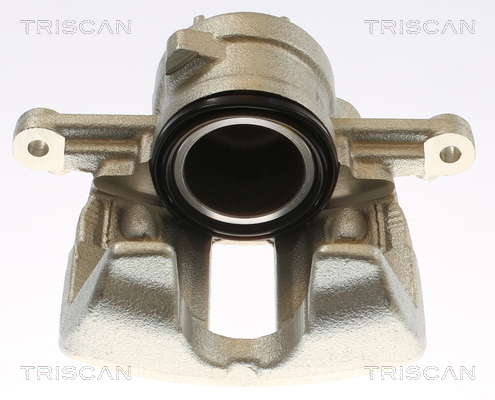 TRISCAN 8175 10134 Bremssattel