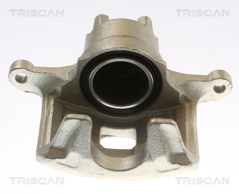 TRISCAN 8175 10136 Bremssattel