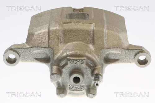 TRISCAN 8175 10136 Bremssattel