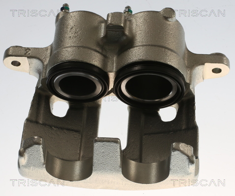 TRISCAN 8175 10137 Bremssattel