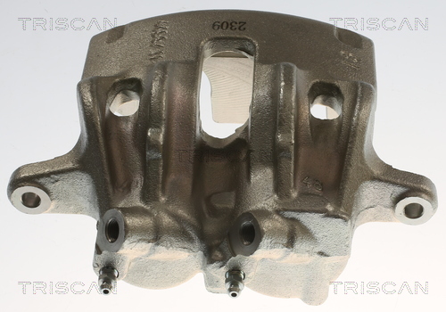 TRISCAN 8175 10137 Bremssattel