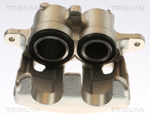 TRISCAN 8175 10138 Bremssattel