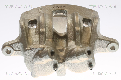 TRISCAN 8175 10138 Bremssattel