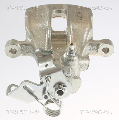 TRISCAN 8175 10201 Bremssattel