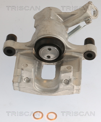 TRISCAN 8175 10205 Étrier...