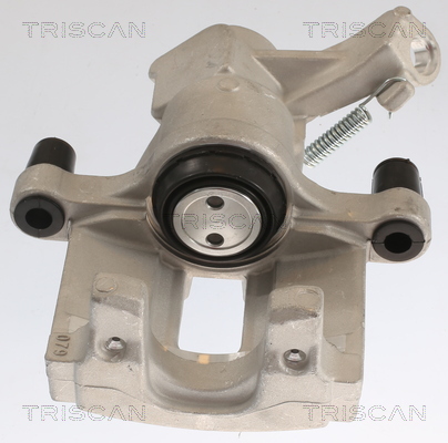 TRISCAN 8175 10207 Bremssattel