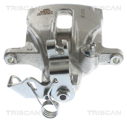TRISCAN 8175 10209 Bremssattel