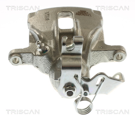 TRISCAN 8175 10210 Bremssattel