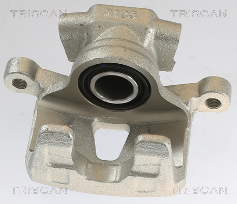 TRISCAN 8175 10213 Bremssattel