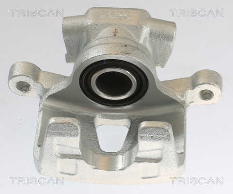 TRISCAN 8175 10214 Bremssattel