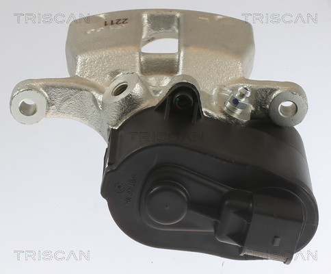 TRISCAN 8175 10215 Bremssattel
