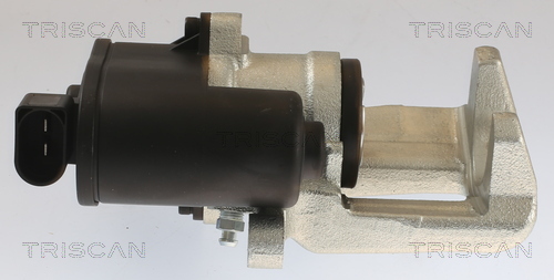 TRISCAN 8175 10216 Bremssattel