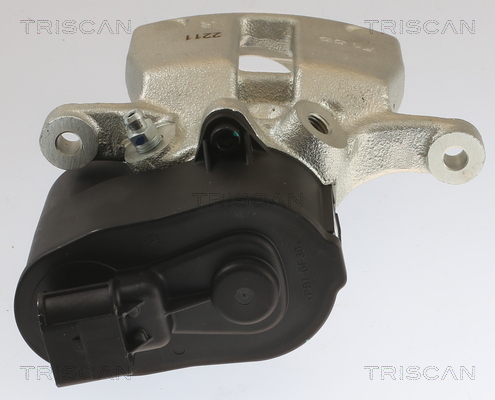 TRISCAN 8175 10216 Bremssattel