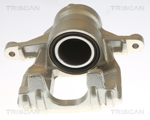 TRISCAN 8175 10219 Bremssattel