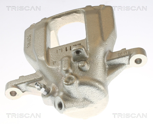 TRISCAN 8175 10219 Bremssattel
