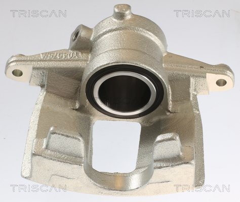 TRISCAN 8175 10221 Bremssattel