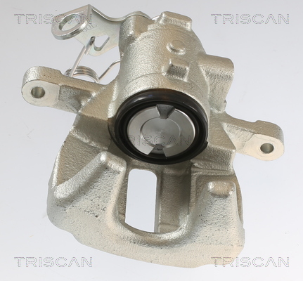TRISCAN 8175 10223 Bremssattel