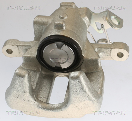 TRISCAN 8175 10224 Bremssattel
