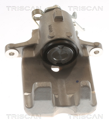 TRISCAN 8175 10225 Bremssattel