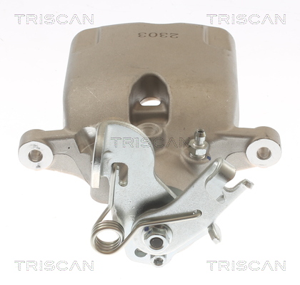 TRISCAN 8175 10225 Bremssattel